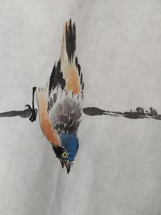 刘超 小写意花鸟册页八开
