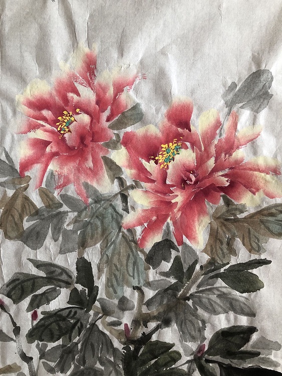 学璟 冠绝群芳