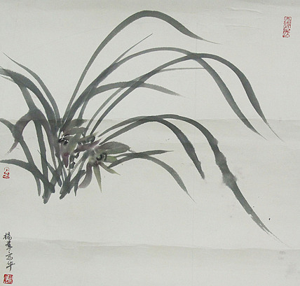 杨爱群 国画作品