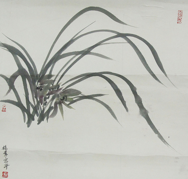 杨爱群 国画作品