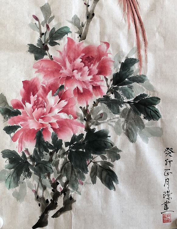 学璟 花开富贵