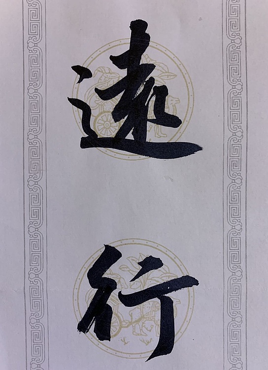 青年书画家 邓顽白 对联