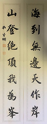 青年书画家 邓顽白 对联