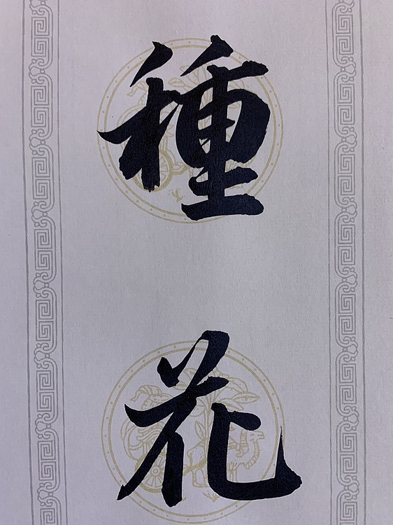 青年书画家 邓顽白 对联