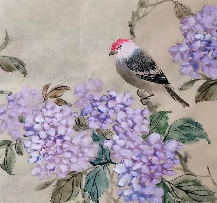 中国人民大学讲师 李乃昕 精品花鸟