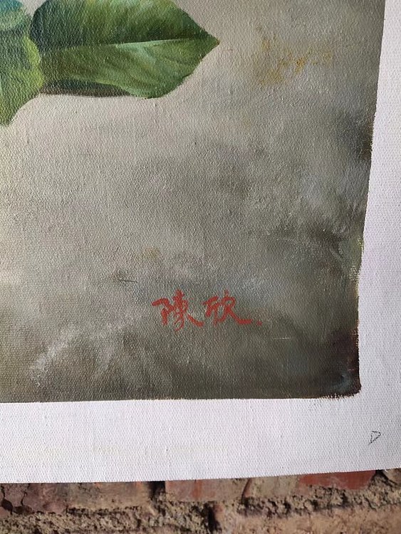 刘益芬 山楂