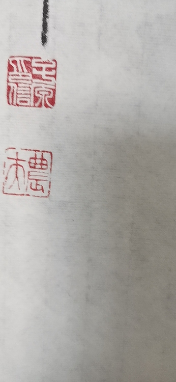田子源 富贵白头