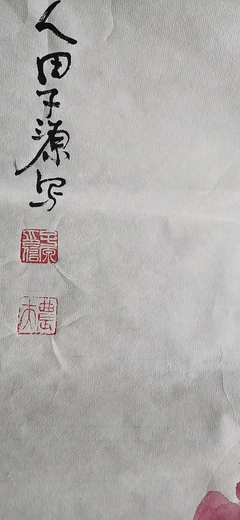 田子源 富贵白头1