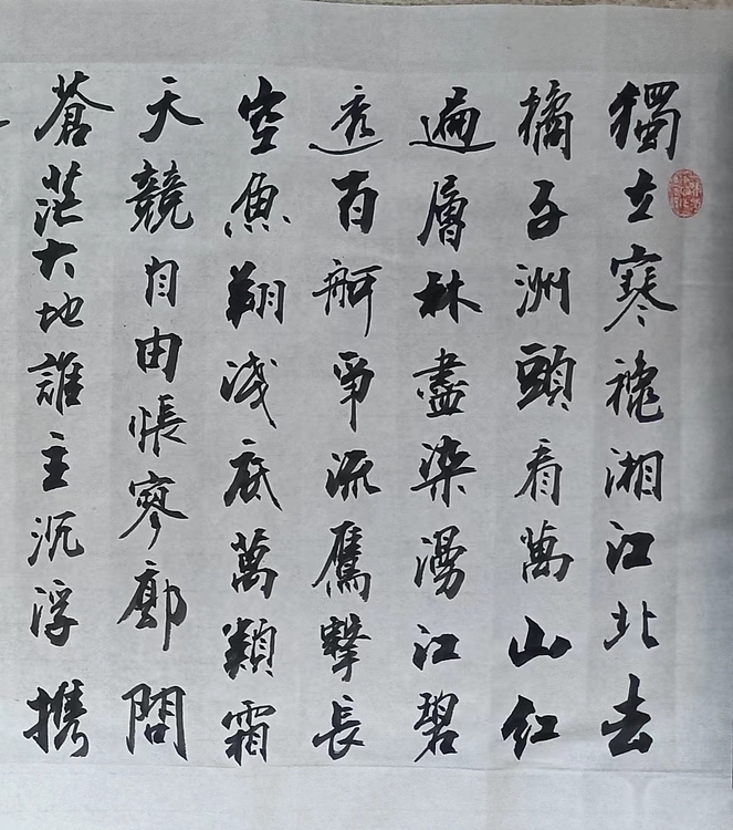王连生 沁园春长沙