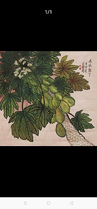 南海美术家协会副秘书长  谭文静 花鸟  国画
