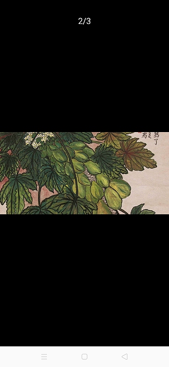 南海美术家协会副秘书长  谭文静 花鸟  国画