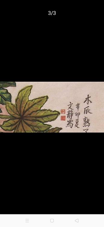 南海美术家协会副秘书长  谭文静 花鸟  国画