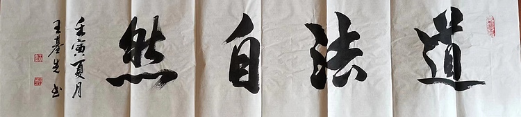 王基先   著名画家