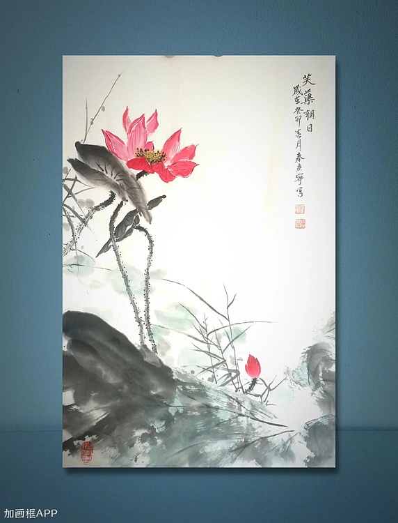 秦广宁 芙蕖朝日，