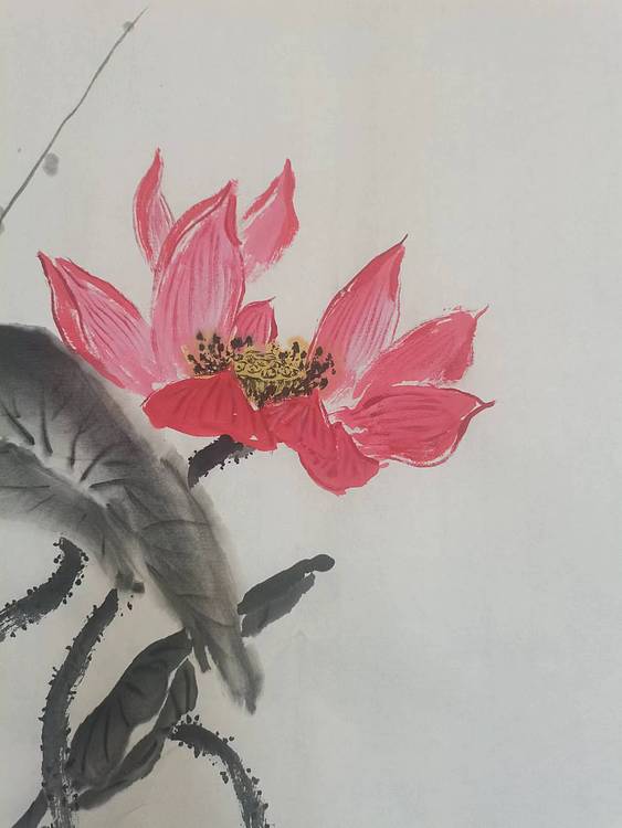 秦广宁 芙蕖朝日，
