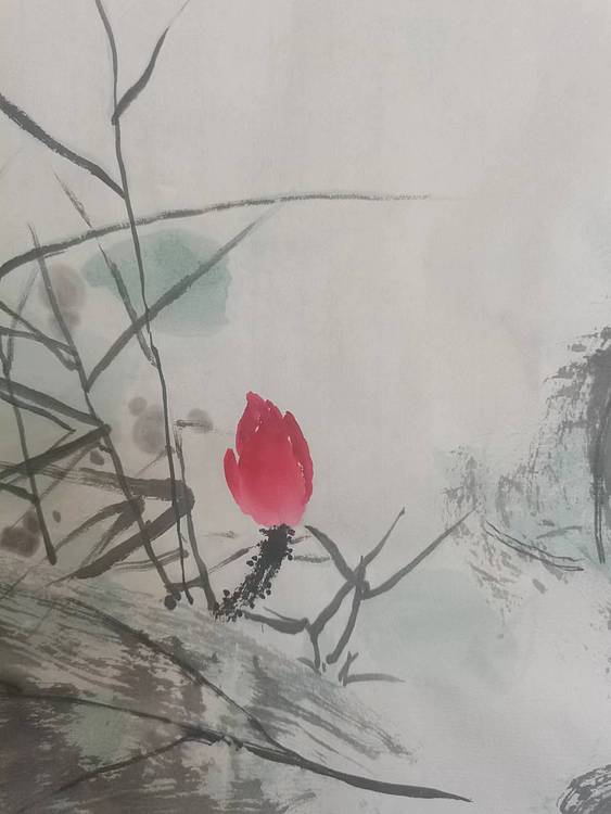 秦广宁 芙蕖朝日，