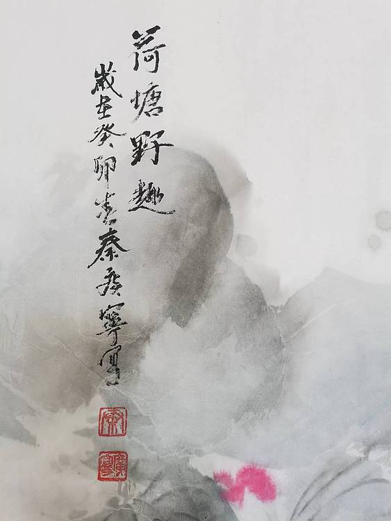秦广宁 荷塘野趣