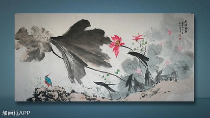 秦广宁 荷塘野趣