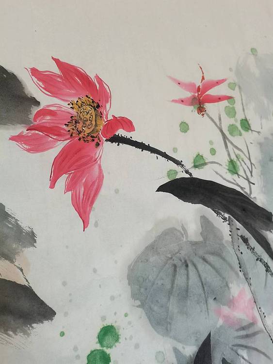 秦广宁 荷塘野趣