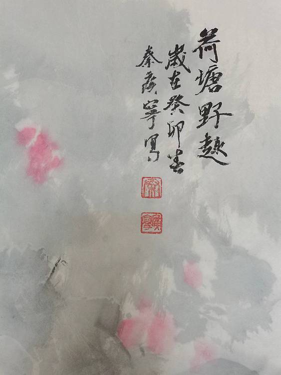 秦广宁 荷塘野趣