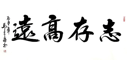 中书协会员 马章乘书法 志存高远