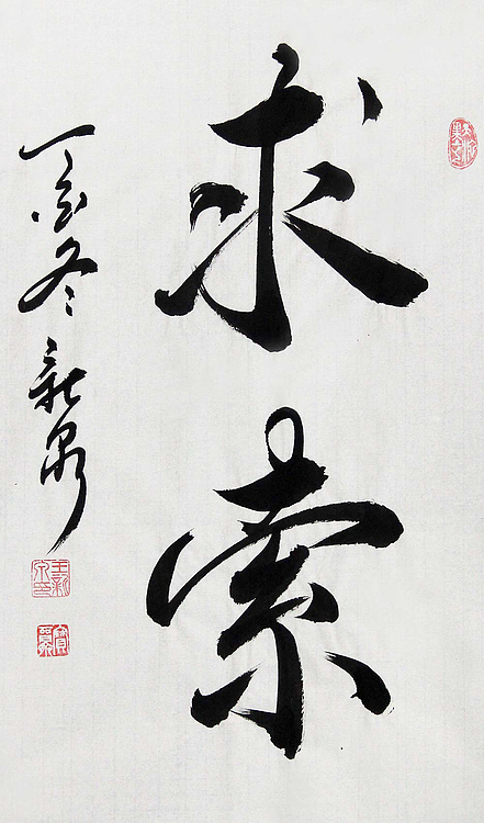 中国书法家协会会员 王新泉