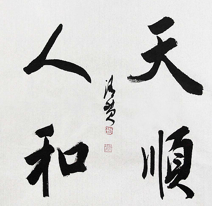 陕西书协会员 何忠富