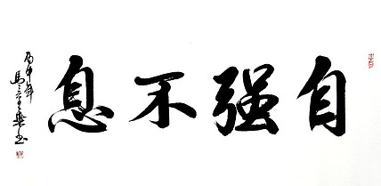 中书协会员 马章乘书法 自强不息