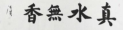 陕西书协会员 何忠富