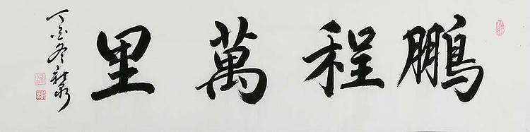 中国书法家协会会员 王新泉