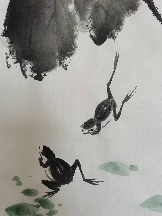 秦广宁 荷塘野趣