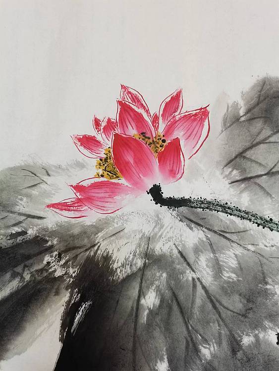 秦广宁 荷塘野趣
