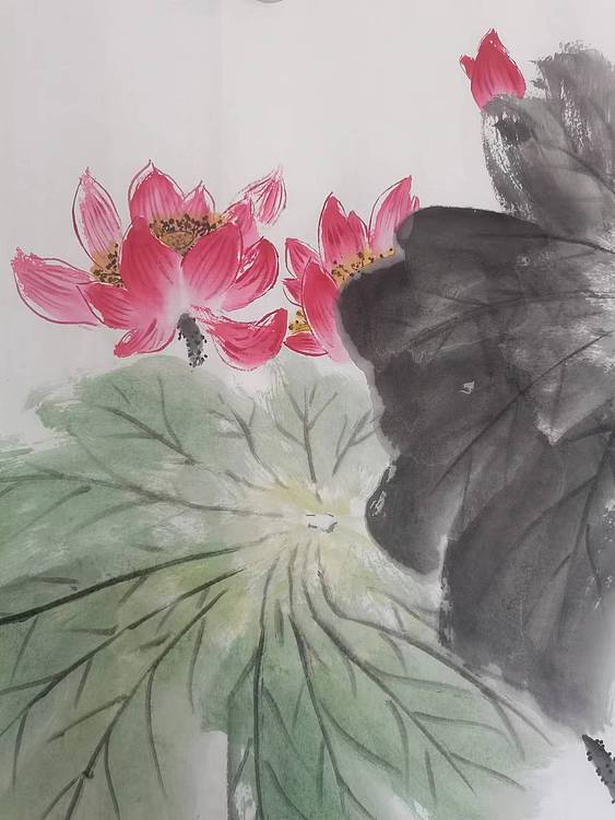秦广宁 连年有余