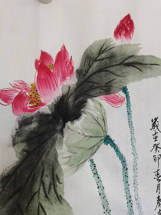 秦广宁 映日荷花别样红