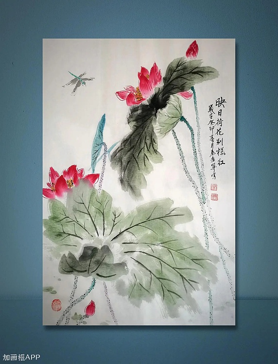 秦广宁 映日荷花别样红