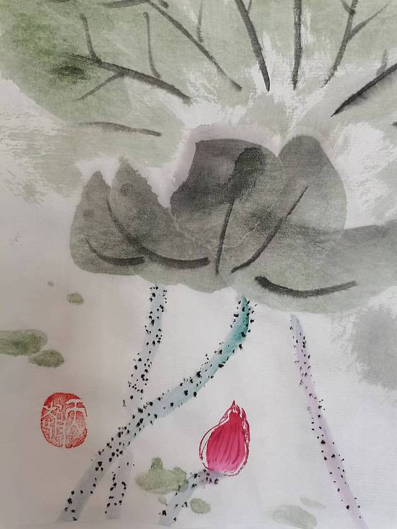 秦广宁 映日荷花别样红