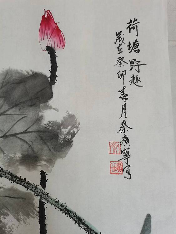 秦广宁 荷塘野趣