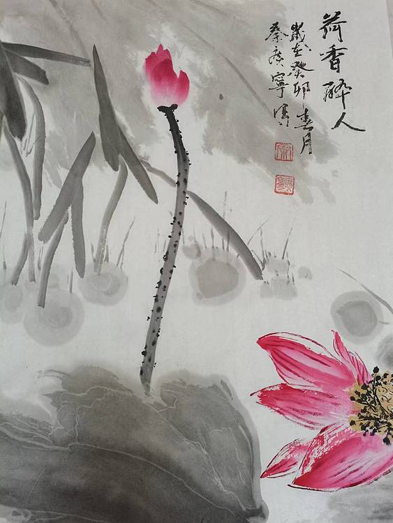 秦广宁 荷香醉人