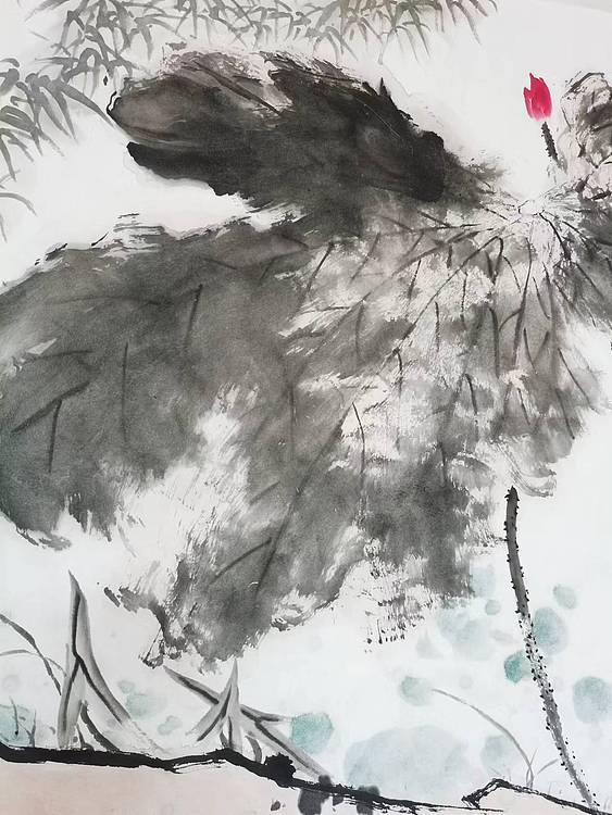 秦广宁 芙蓉国里尽朝晖