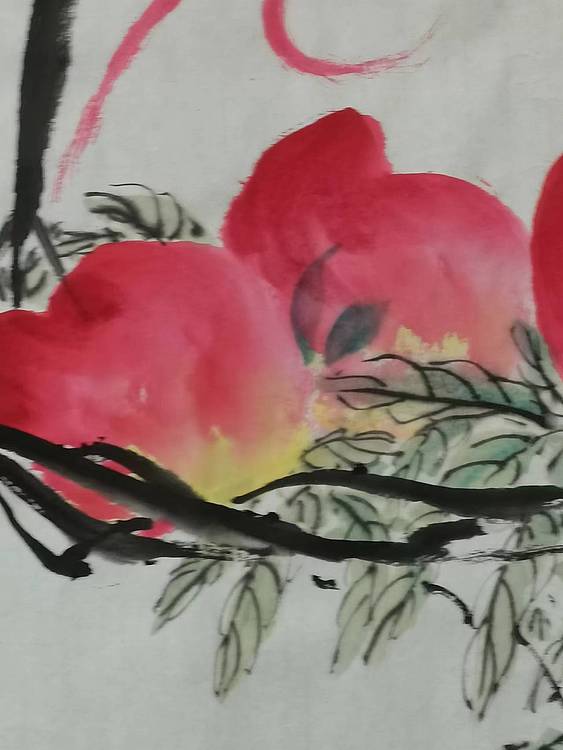 秦广宁 多寿