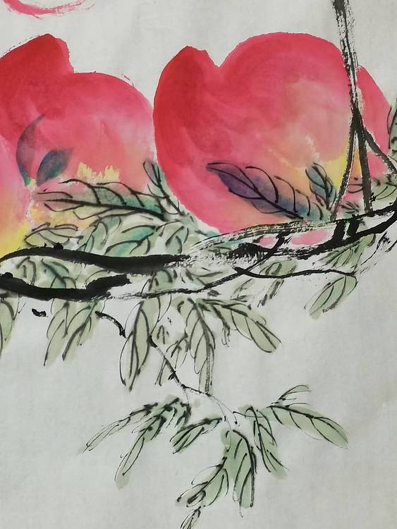秦广宁 多寿