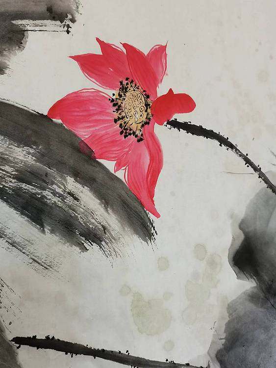 秦广宁 荷塘野趣