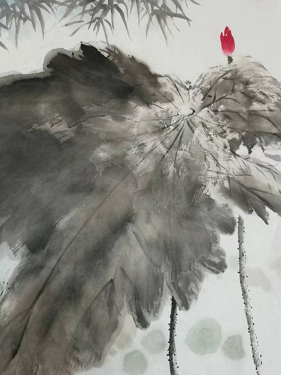 秦广宁 芙蓉国里尽朝晖