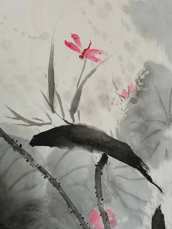 秦广宁 荷塘野趣