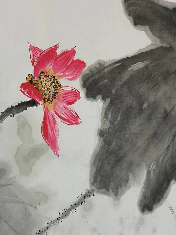 秦广宁 荷塘野趣