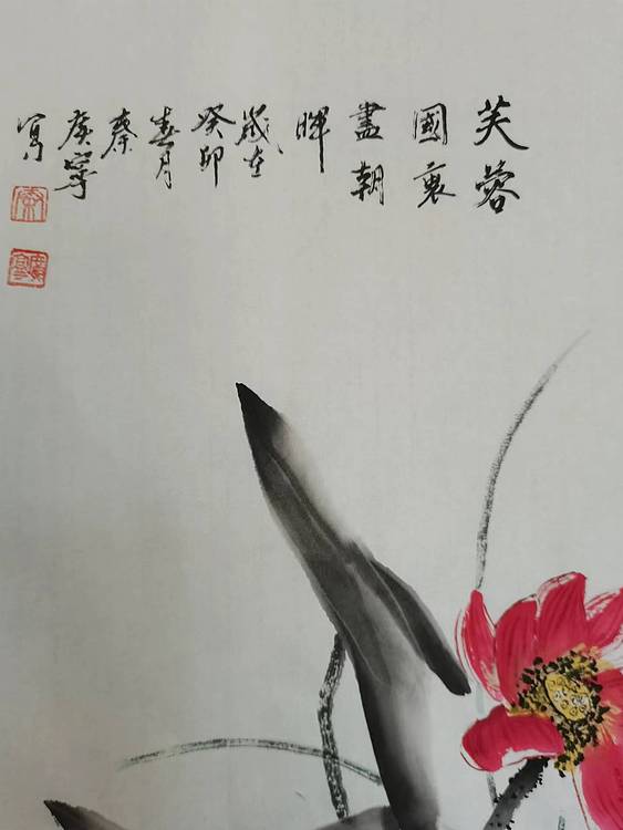 秦广宁 芙蓉国里尽朝晖