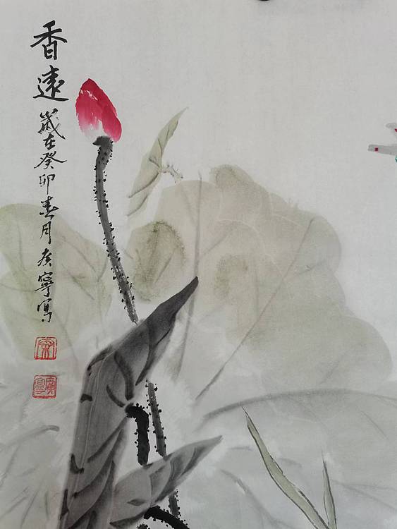 秦广宁 香远