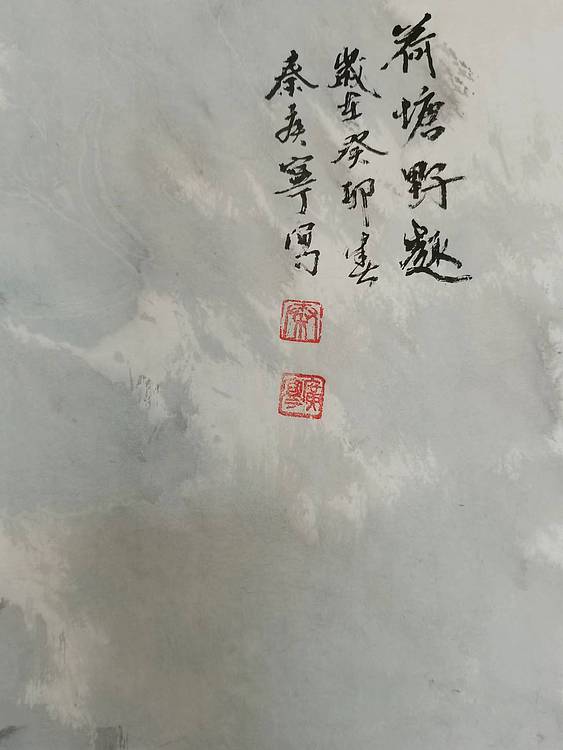 秦广宁 荷塘野趣