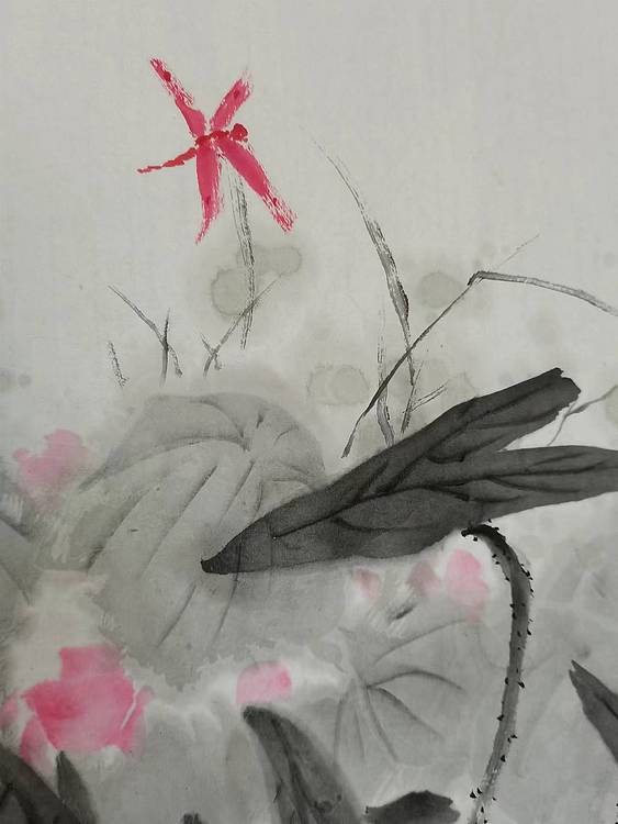 秦广宁 荷塘野趣