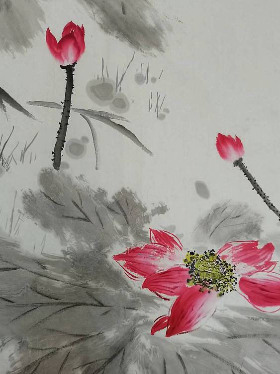 秦广宁 荷香醉人
